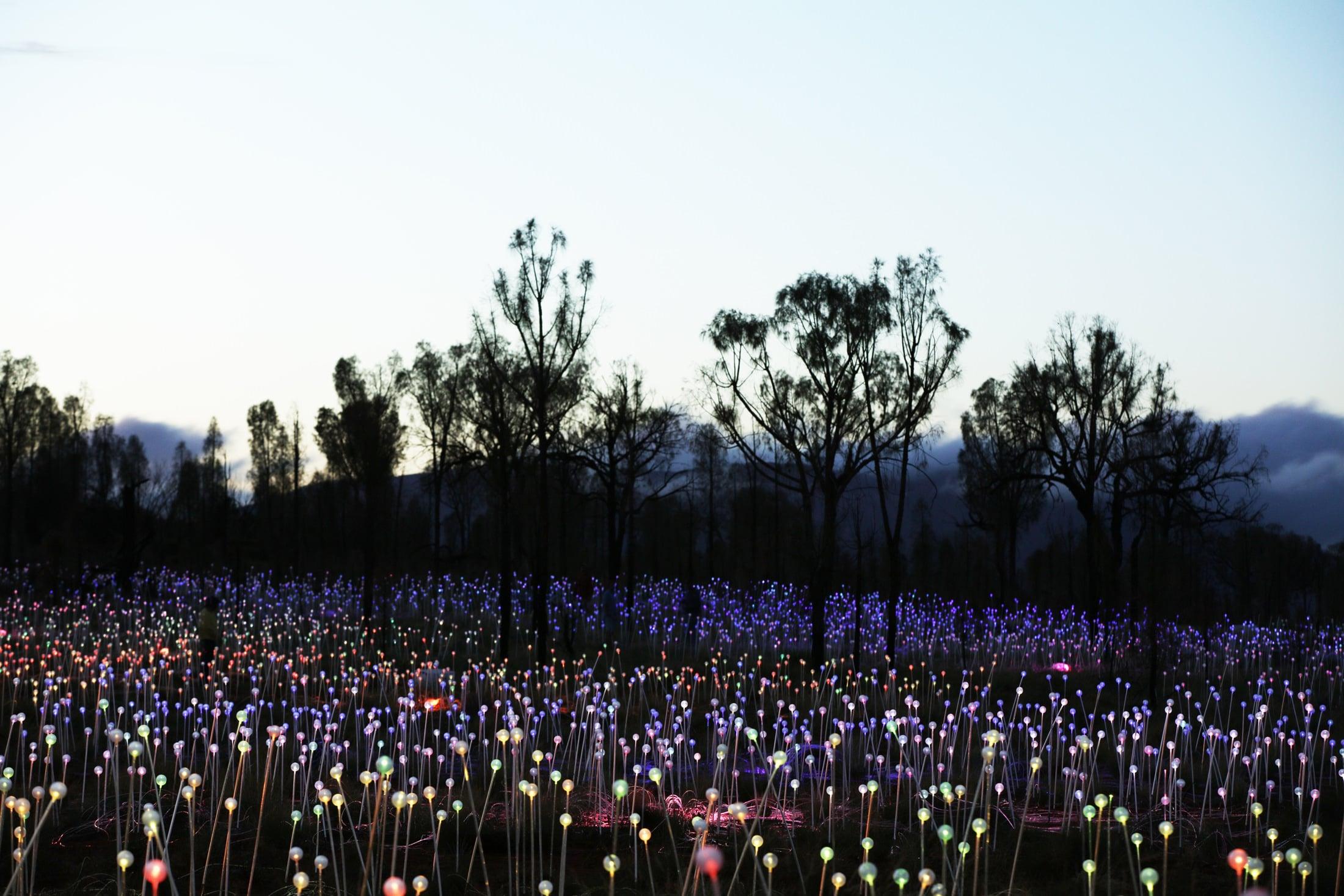 field of light
