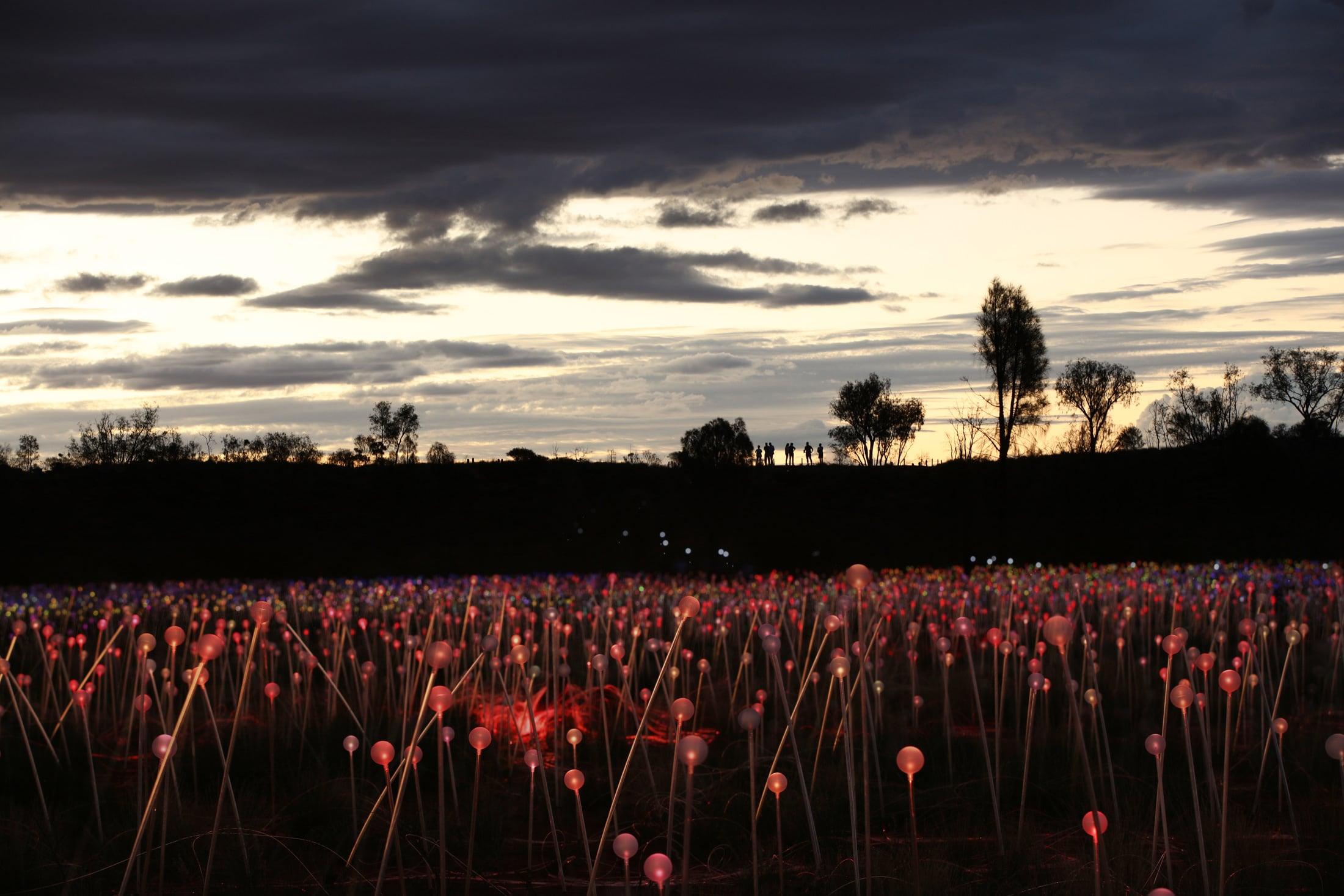 field of light