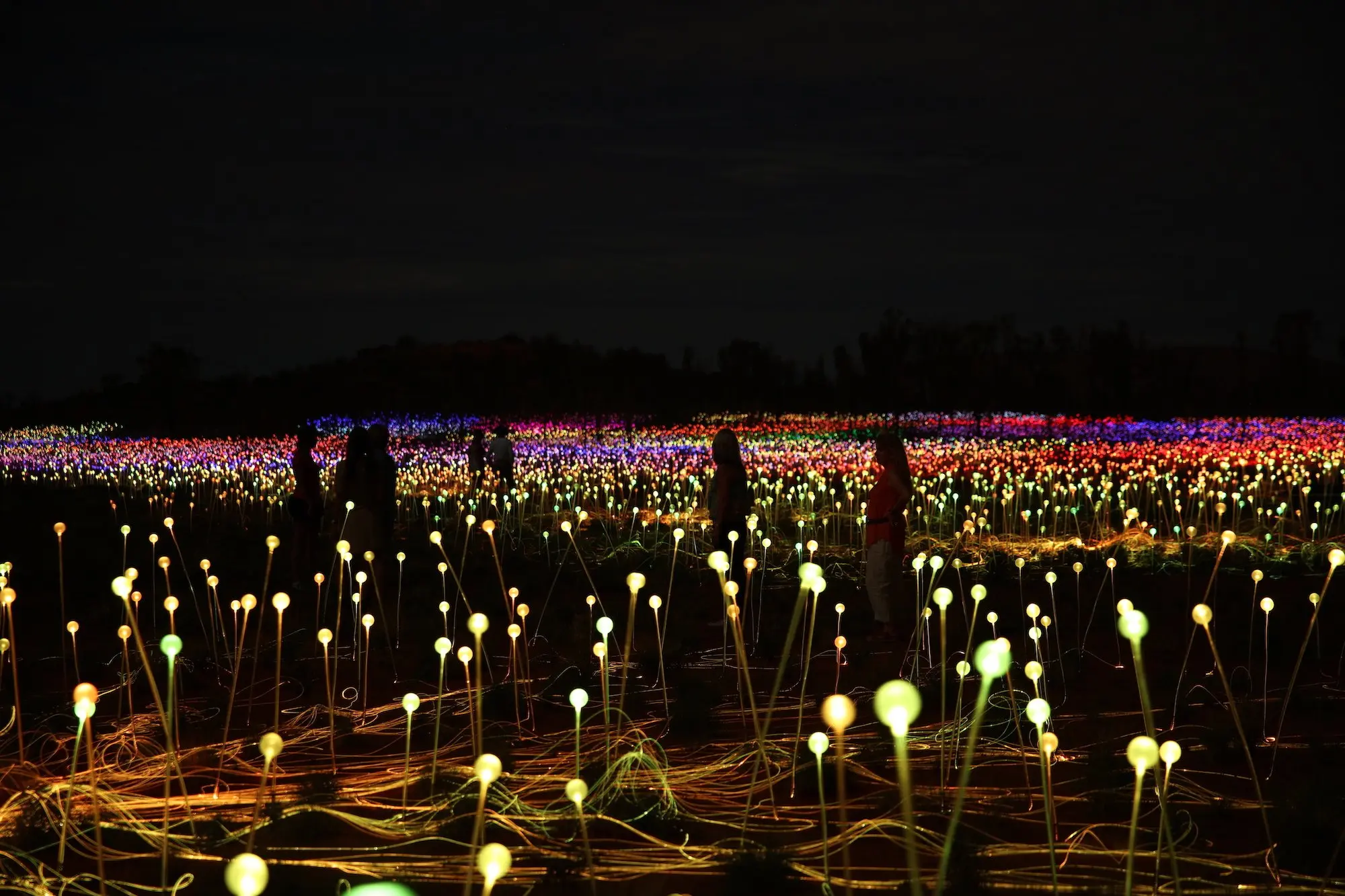 Field of light up close