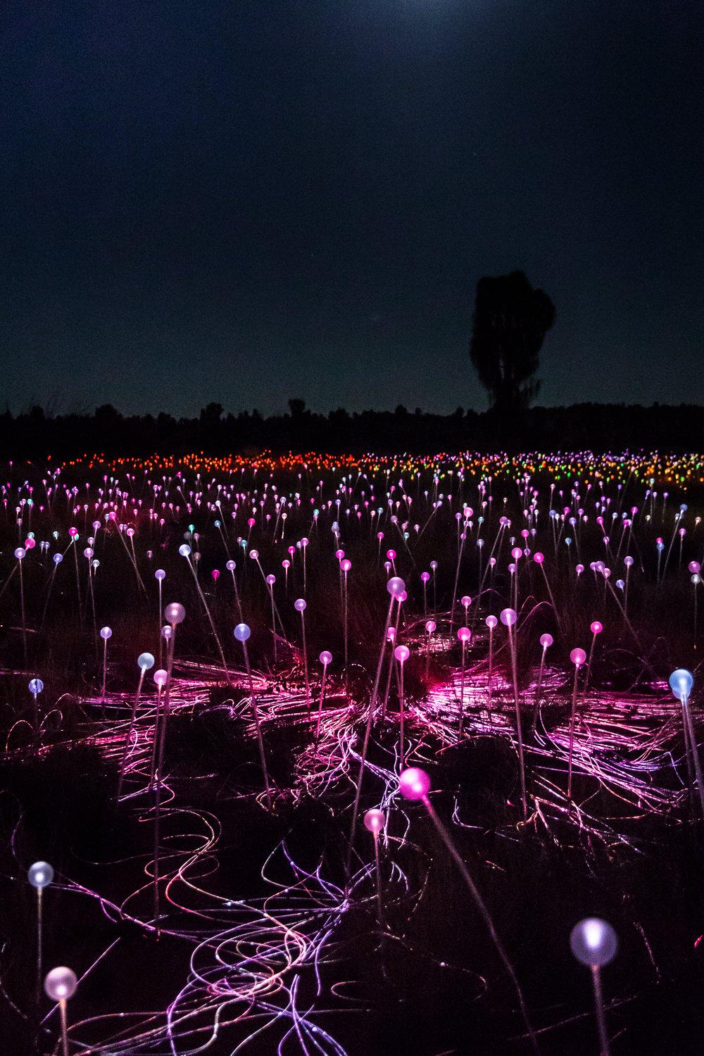 Field of Light display