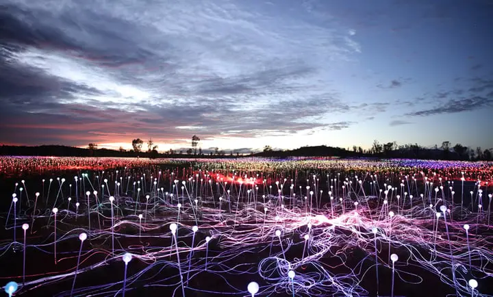 Field of Light