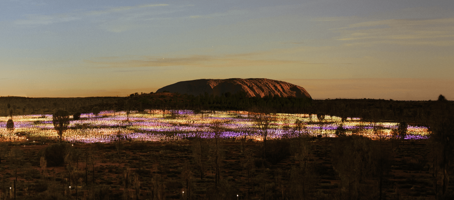 field of light at night