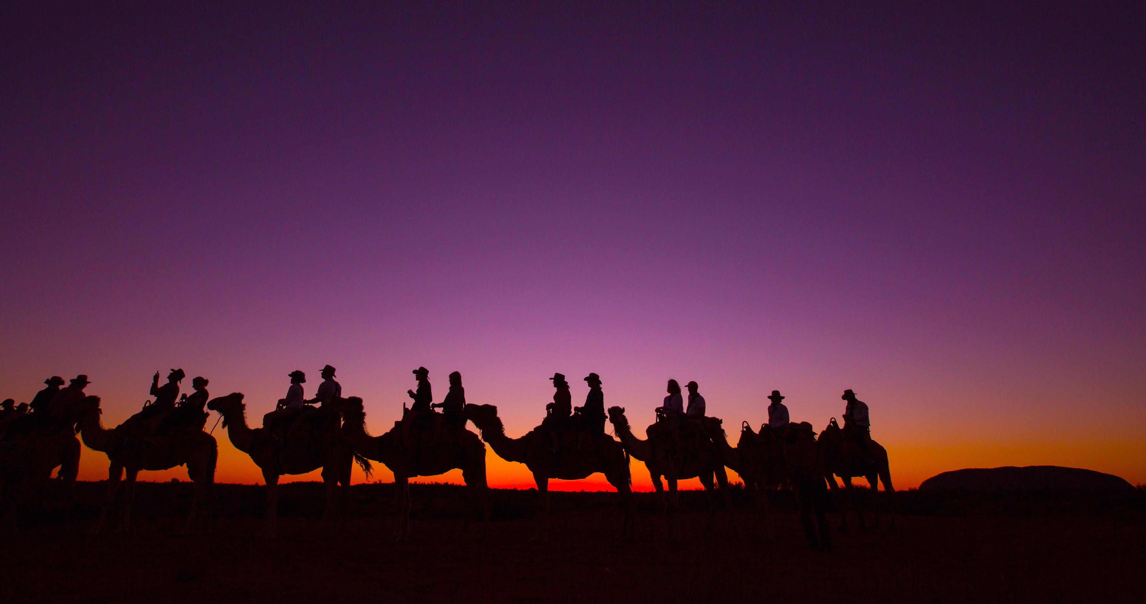 camel silhouettes