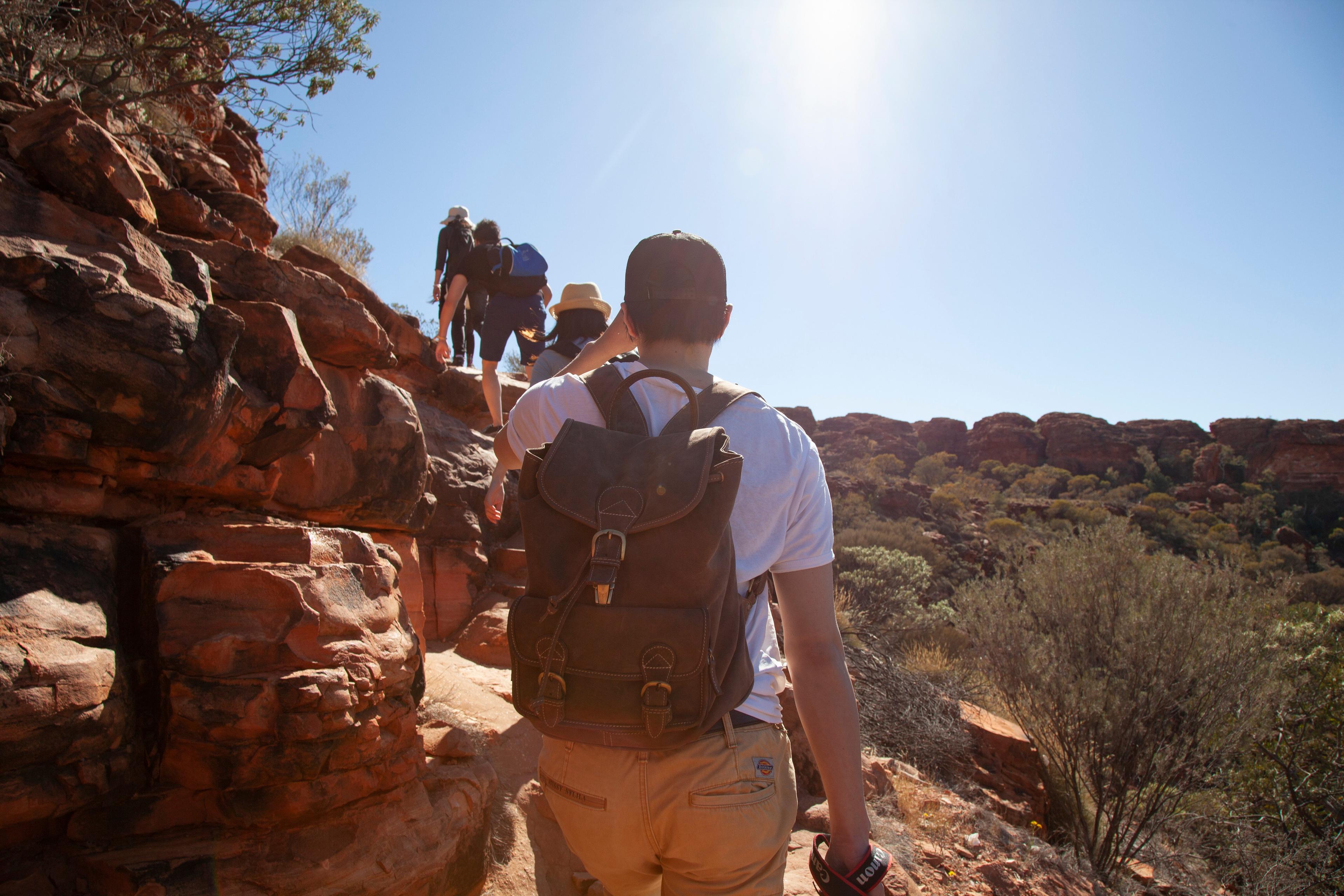 Kings Canyon & Outback Panoramas