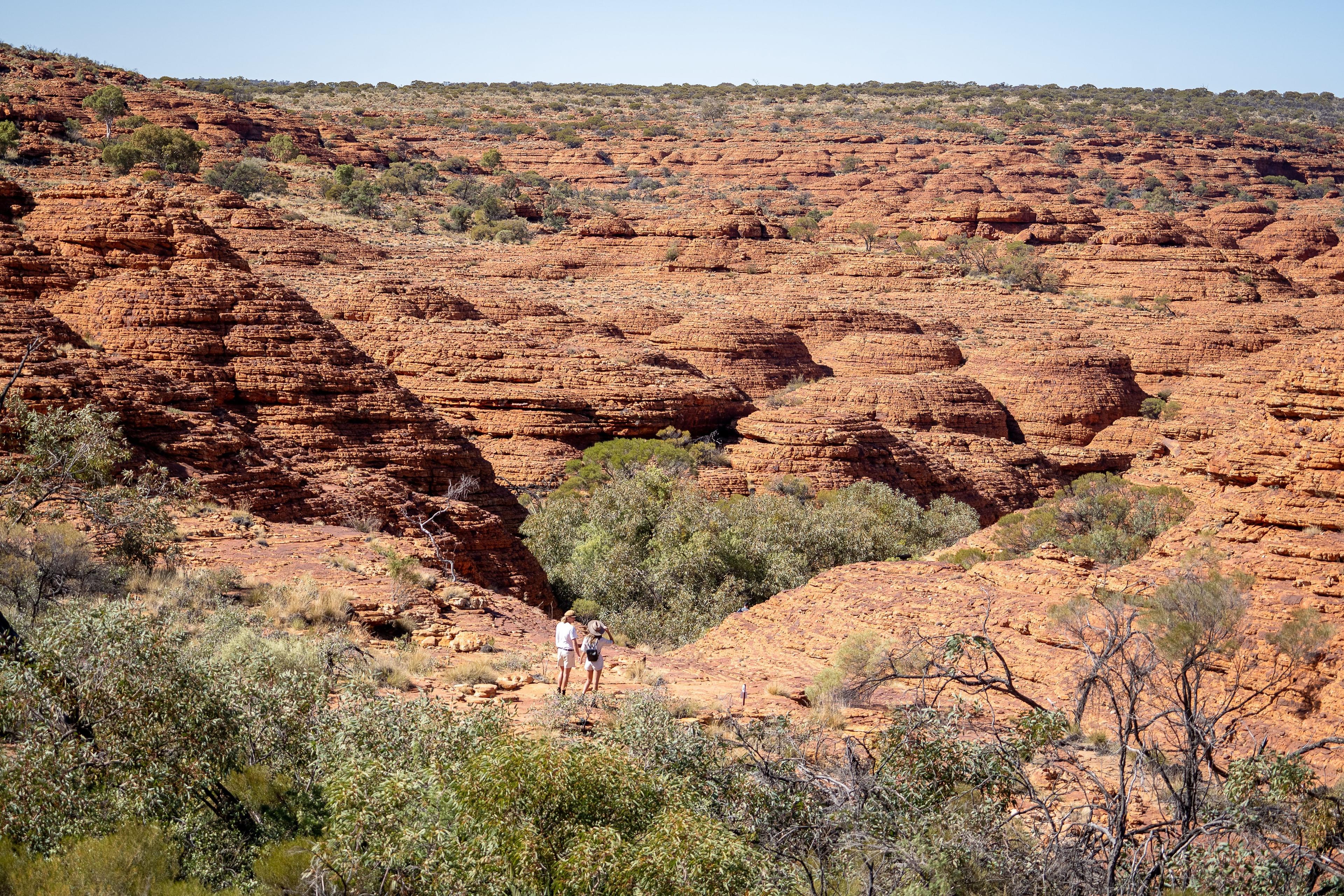 Kings Canyon & Outback Panoramas