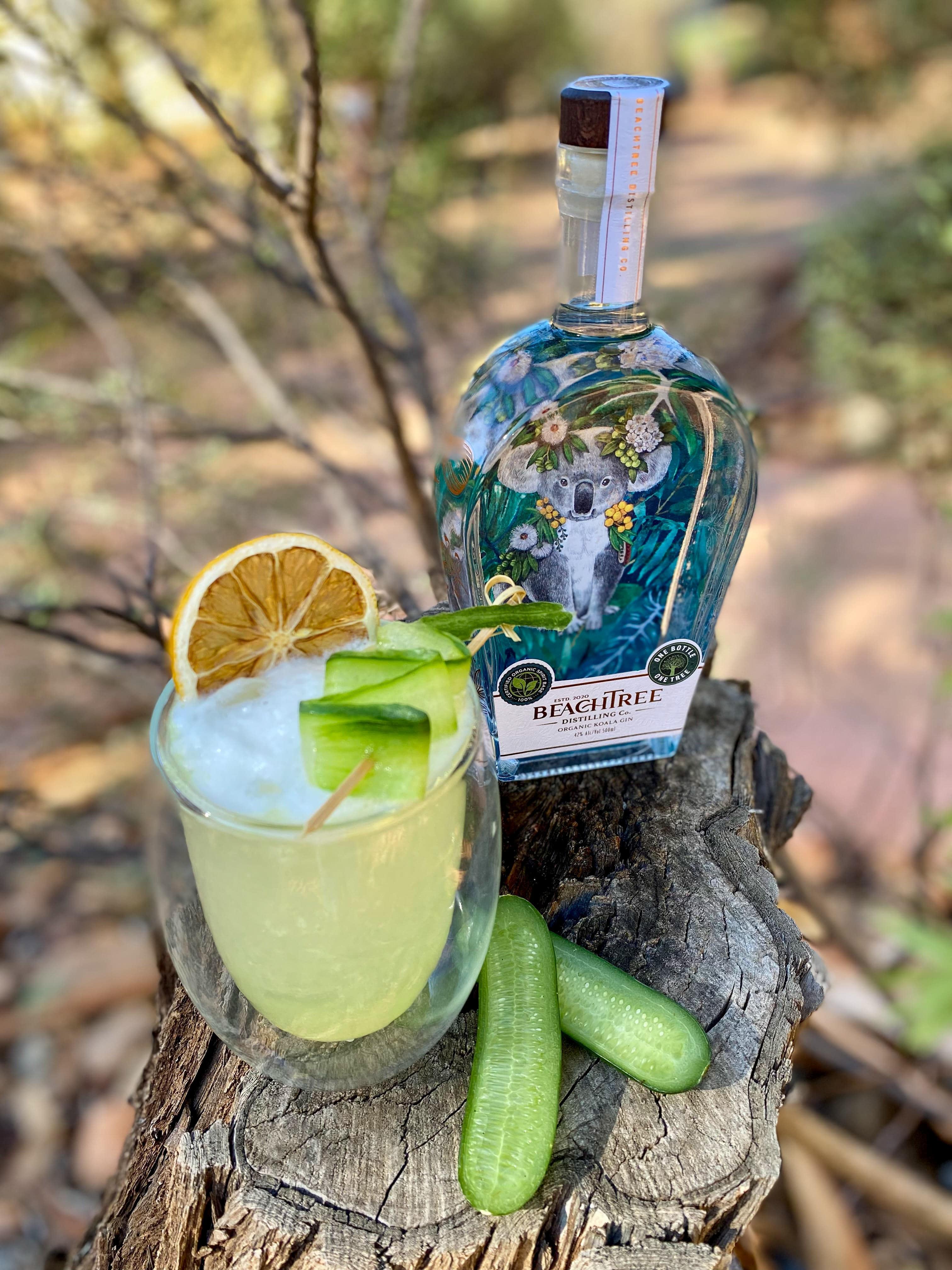 Cucumber Cooler with Beachtree Koala Gin