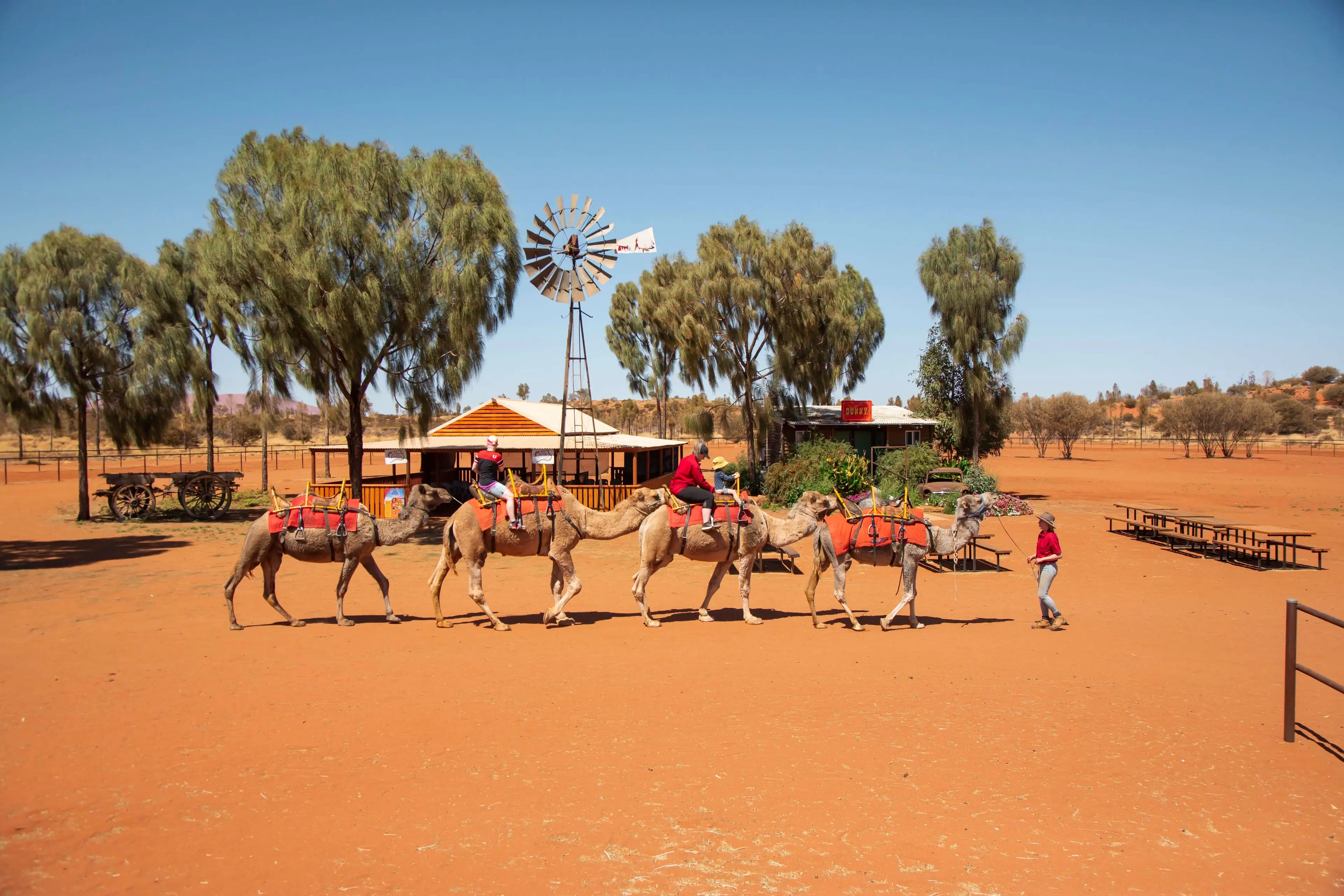 Uluru Camel Tours