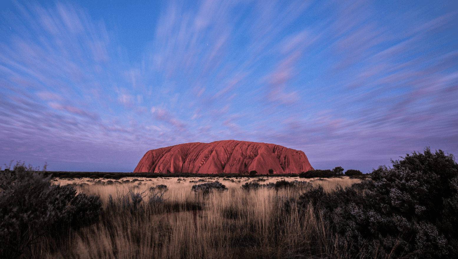 Last Minute May Sale