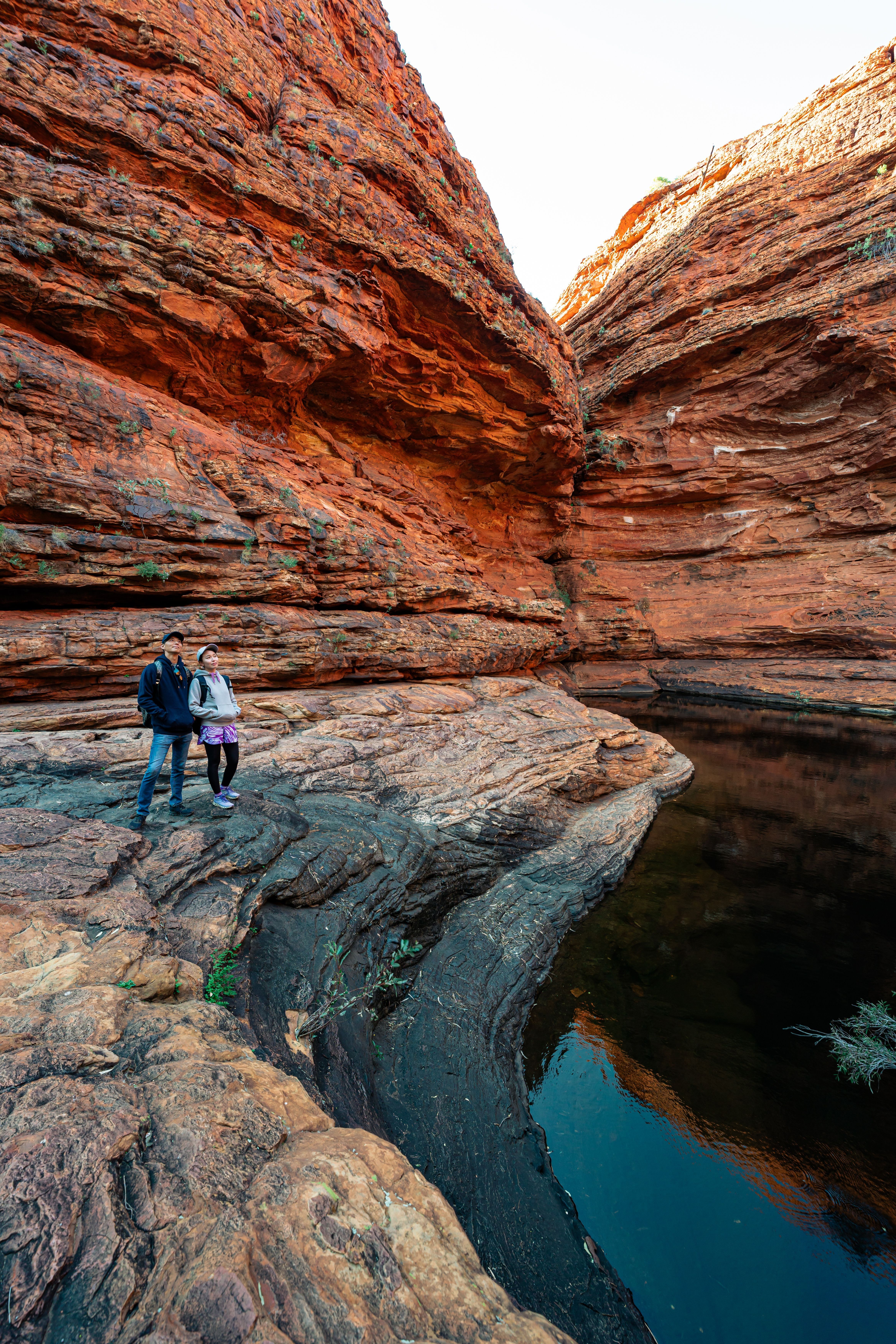 Kings Canyon & Outback Panoramas