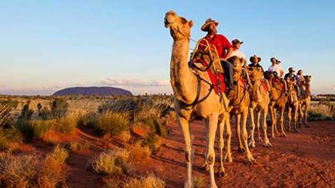 experiences UCT camel train in landscape