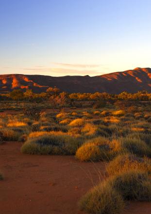 West Macdonnell Ranges, Northern Territory, Australia
